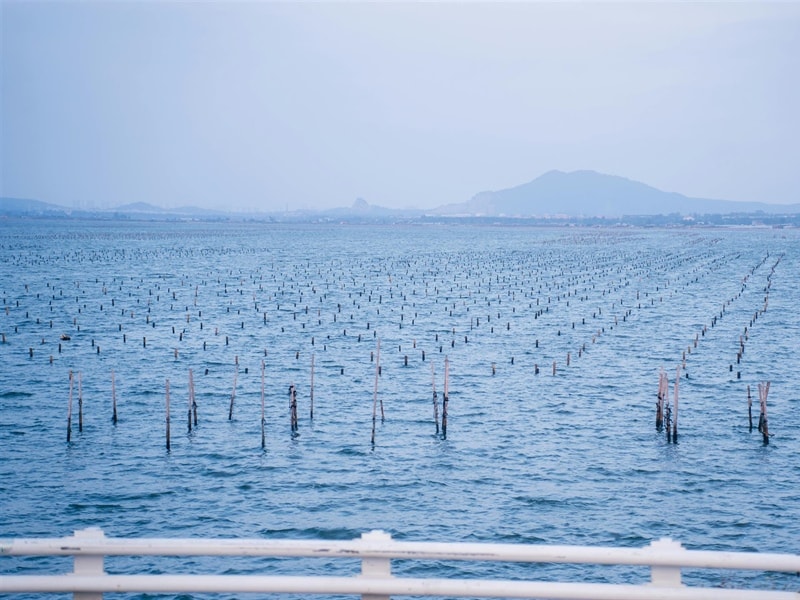 Županija raspisala natječaj za potpore ribarstvu i marikulturi: U 2025. godini osigurano 30 tisuća eura!