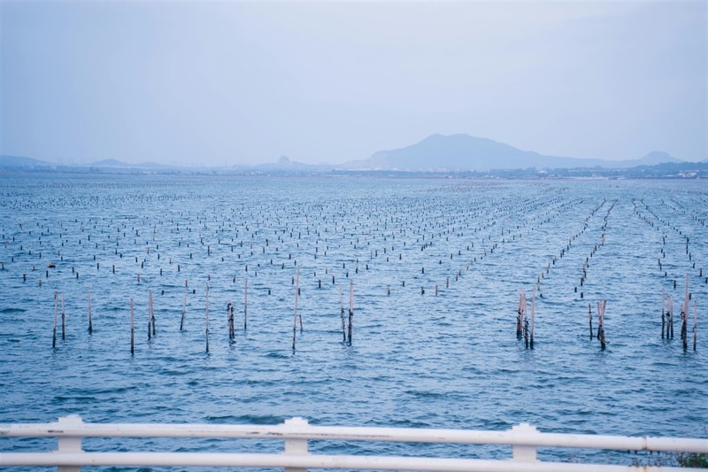 Županija raspisala natječaj za potpore ribarstvu i marikulturi: U 2025. godini osigurano 30 tisuća eura!