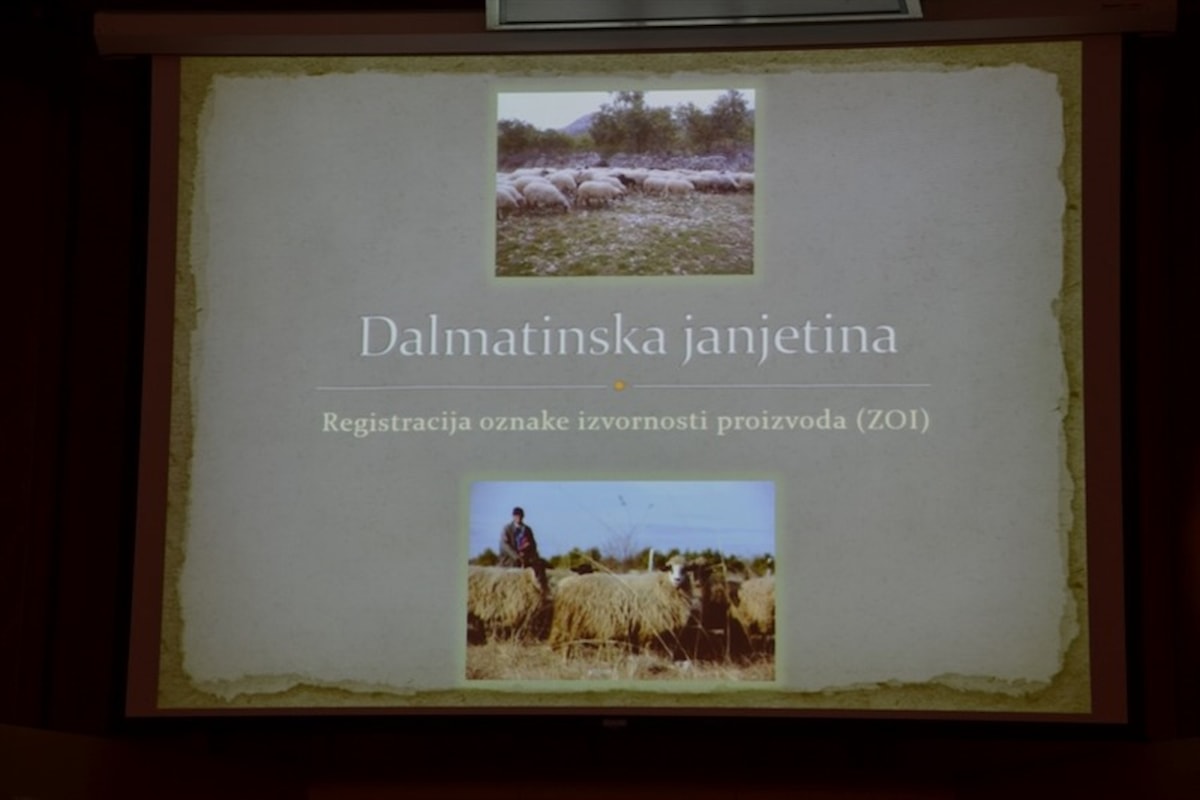 Predstavljen projekt „Dalmatinska janjetina“